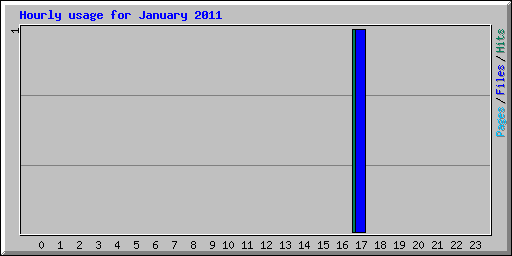 Hourly usage for January 2011